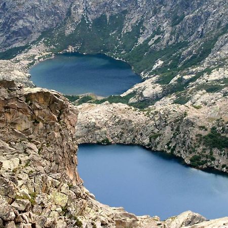 Les Bergeries "Le Figuier" Hotel Omessa Eksteriør billede