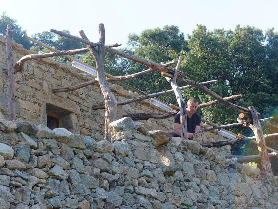 Les Bergeries "Le Figuier" Hotel Omessa Eksteriør billede