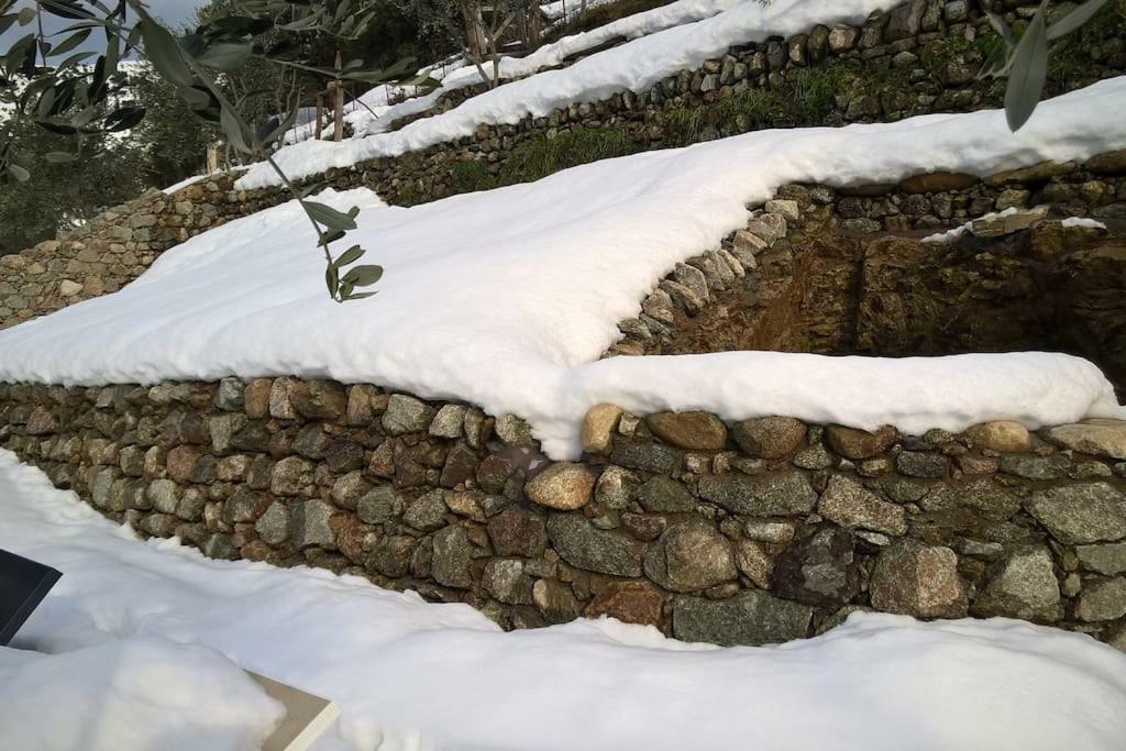 Les Bergeries "Le Figuier" Hotel Omessa Eksteriør billede