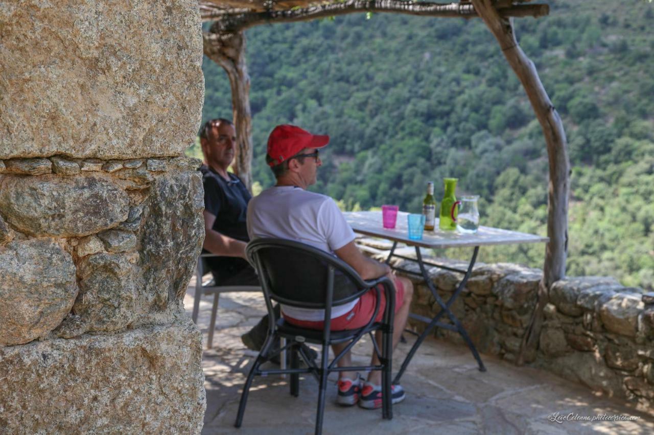 Les Bergeries "Le Figuier" Hotel Omessa Eksteriør billede