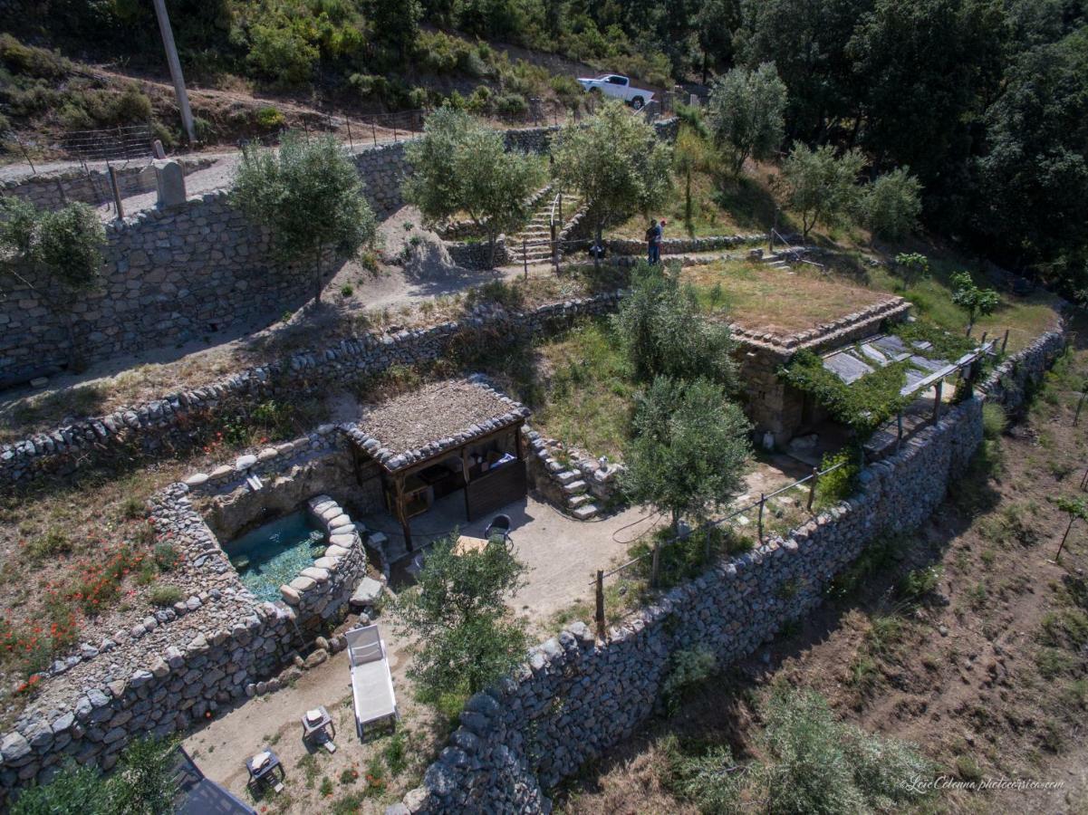 Les Bergeries "Le Figuier" Hotel Omessa Eksteriør billede
