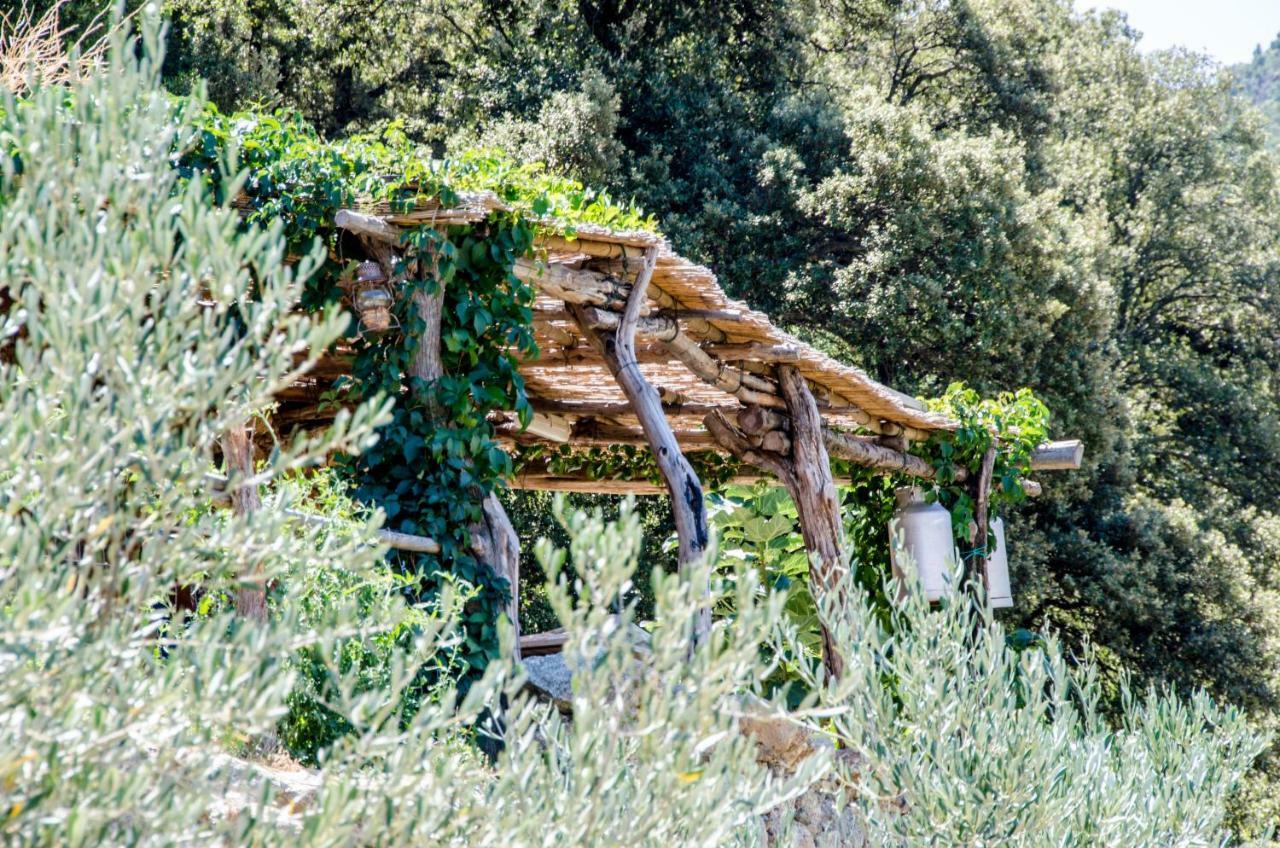 Les Bergeries "Le Figuier" Hotel Omessa Eksteriør billede