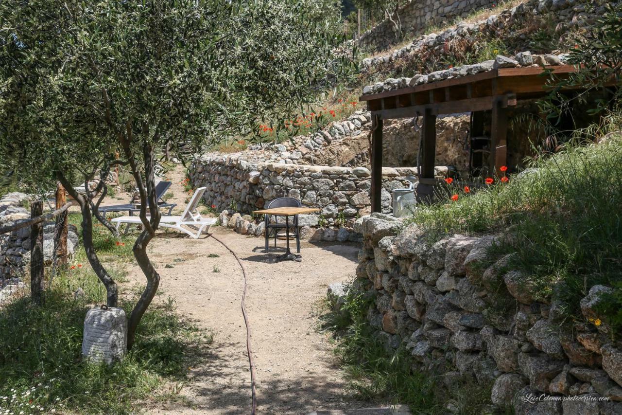Les Bergeries "Le Figuier" Hotel Omessa Eksteriør billede